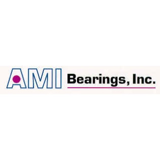 AMI Bearings